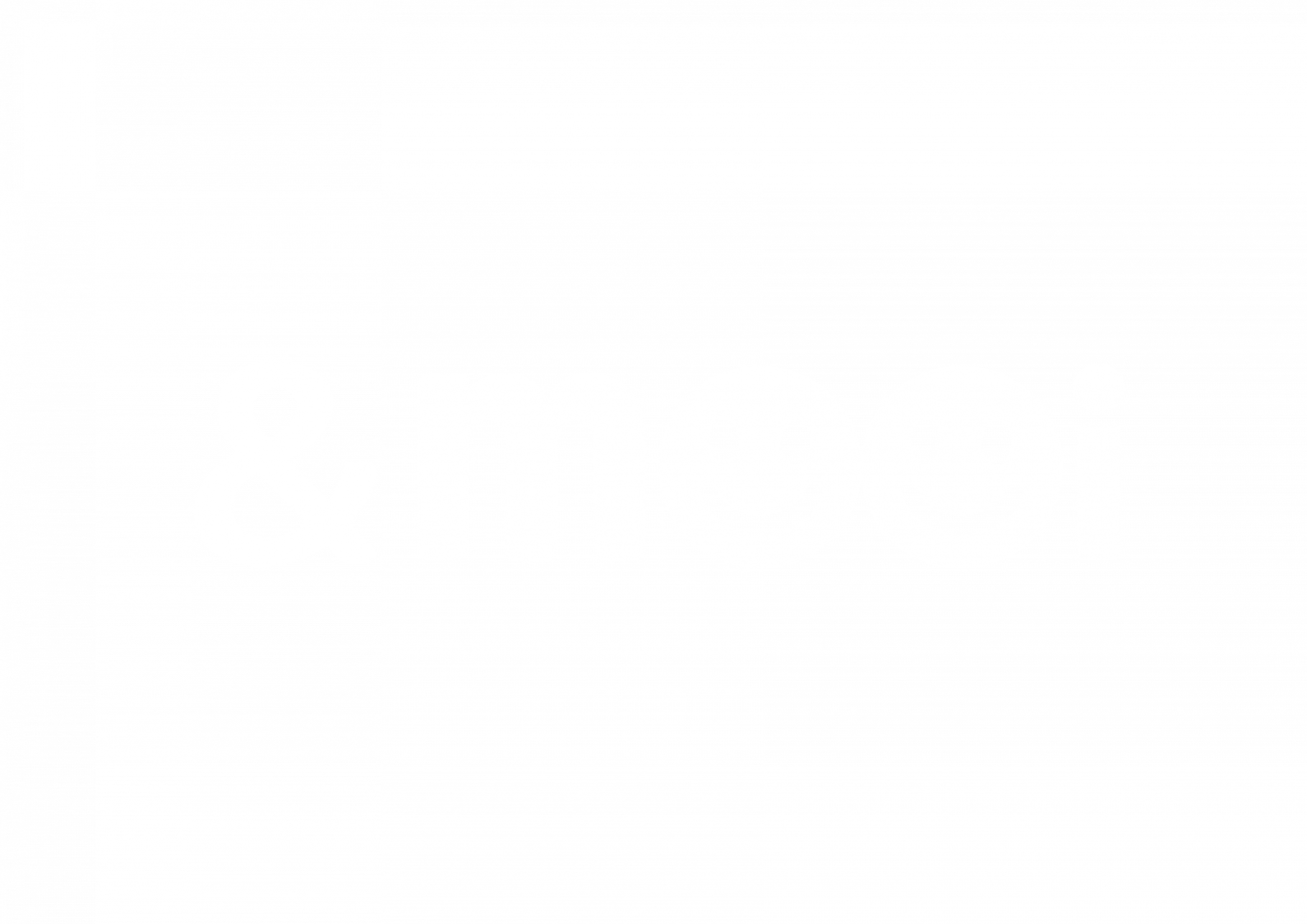 light logo